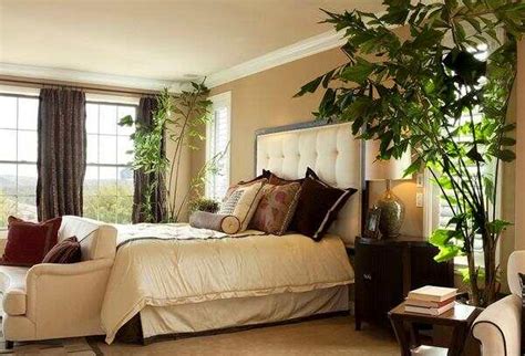 房間漆什麼顏色 什么植物适合放在卧室